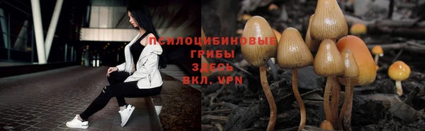 твердый Алексин