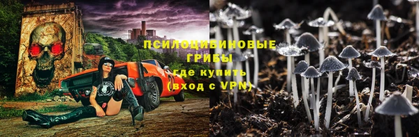 твердый Алексин