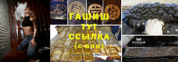 ECSTASY Алзамай