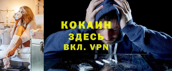 твердый Алексин