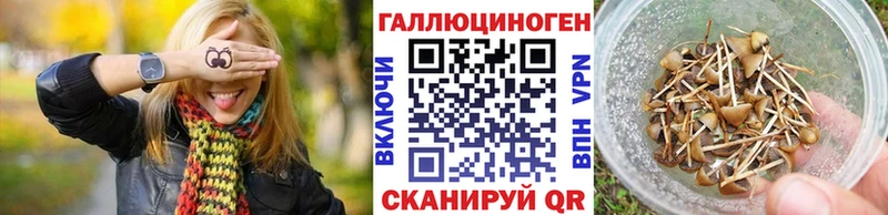 Псилоцибиновые грибы Psilocybe  Зверево 